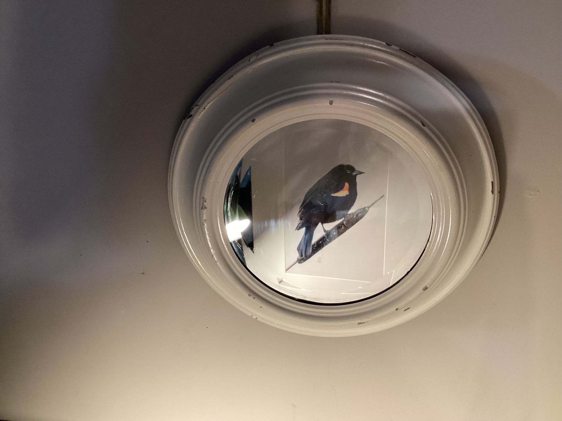 Round Architectural Antique Mirror Tin Frame White Patina From Use