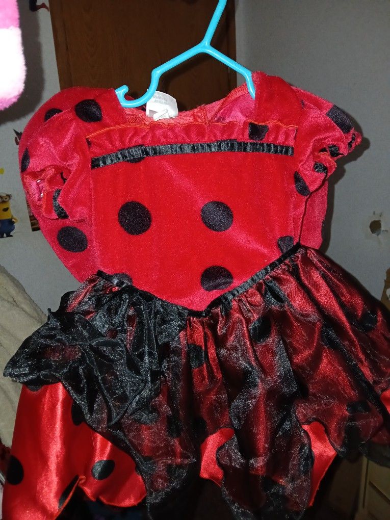 Ladybug Costume