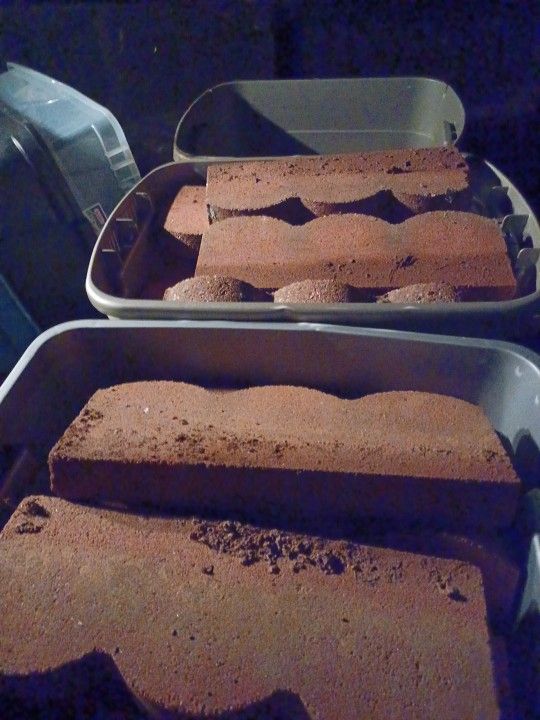 36 Land Scape Bricks