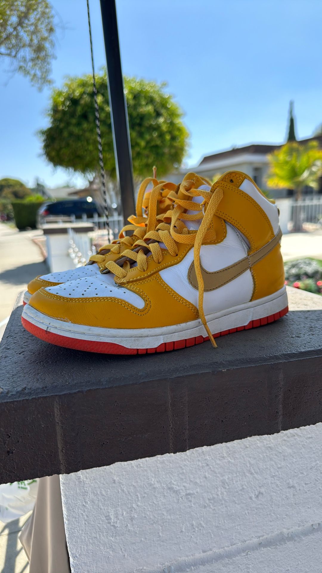 Nike Dunks 