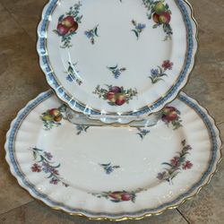 Spode Y8403 Trapnell Sprays Dinner & Bread Plate Circa 1900