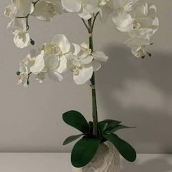 DECORATIVE ORCHID PLANT & POT
