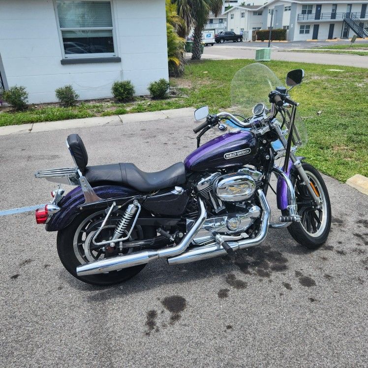 2008 Harley Davidson Sportster 1200 xl low