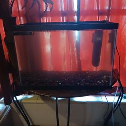 Tanks betta Tank And 20 Gallon