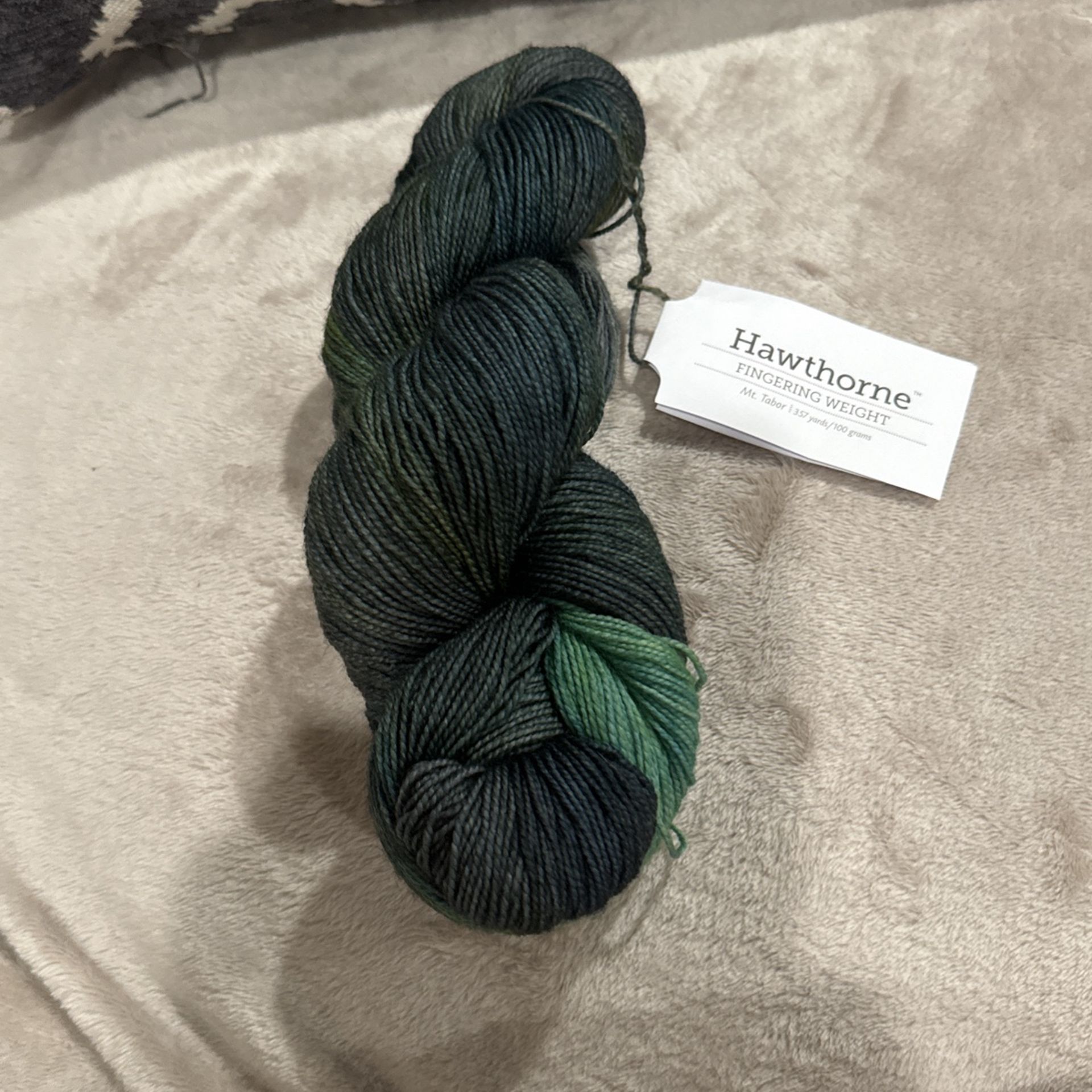 One skien of Hawthorne fingering yarn.