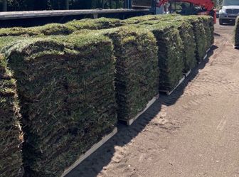 Sod Pallets Special For Month