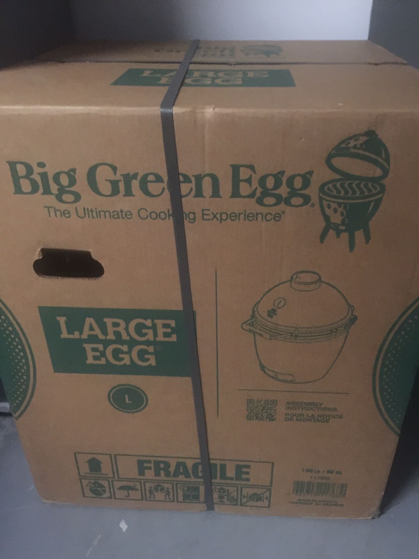 Green Egg - Large