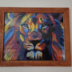 Custom Frame Diamond Paintings 