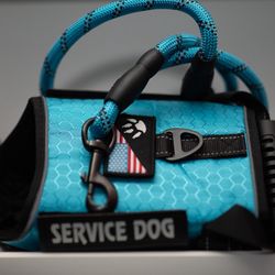 Service Dog Essential 
