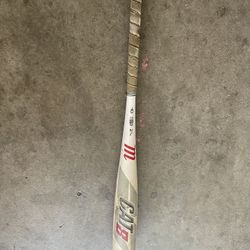Baseball Bat For Sale 