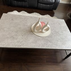 Coffee Table Large Rectangular Table 