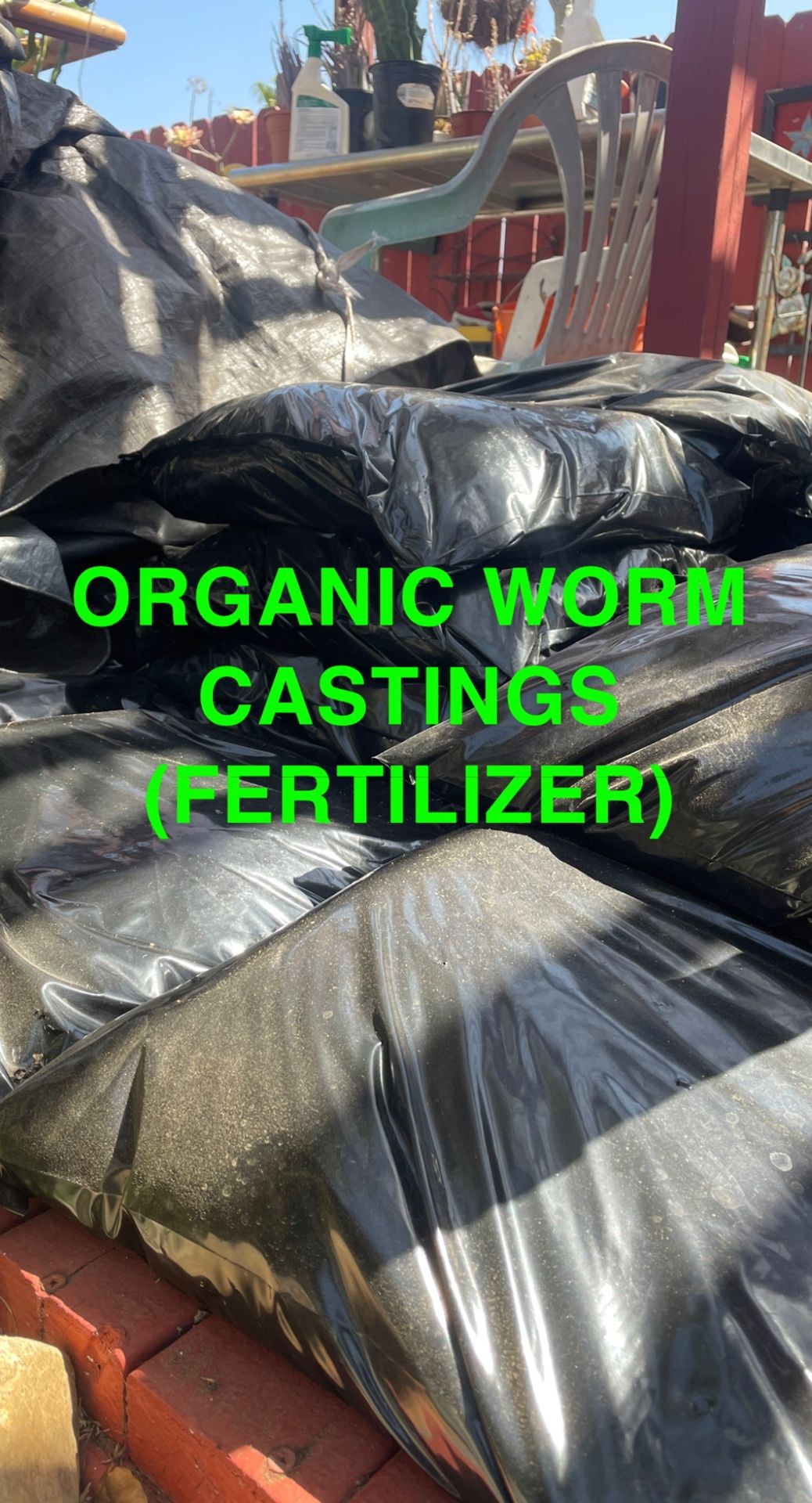 Organic Worm Castings (Plant Fertilizer and Pesticide)