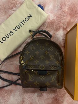 Louis Vuitton Palm Springs Mini Backpack