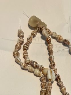 Puka Shell necklace