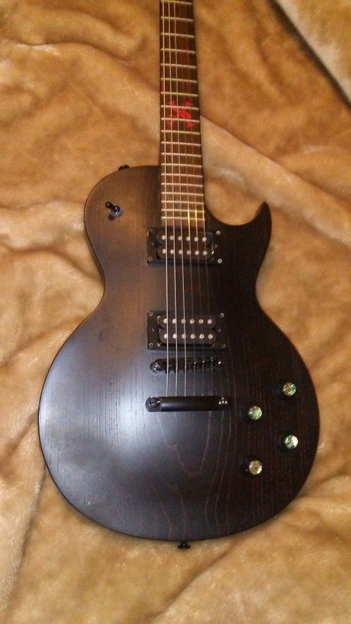 Sx les paul guitar