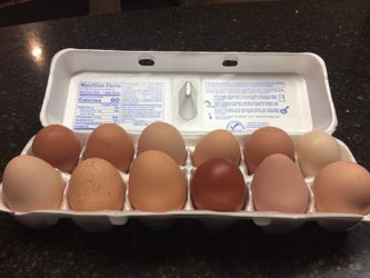 Organic Eggs