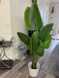 Pretty artificial plant 5ft tall with white planter! Brand new