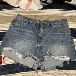 Women’s Shorts 