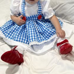 Custom Dorothy Costume Size 18 Mo