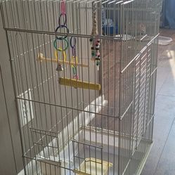 Bird Cage 