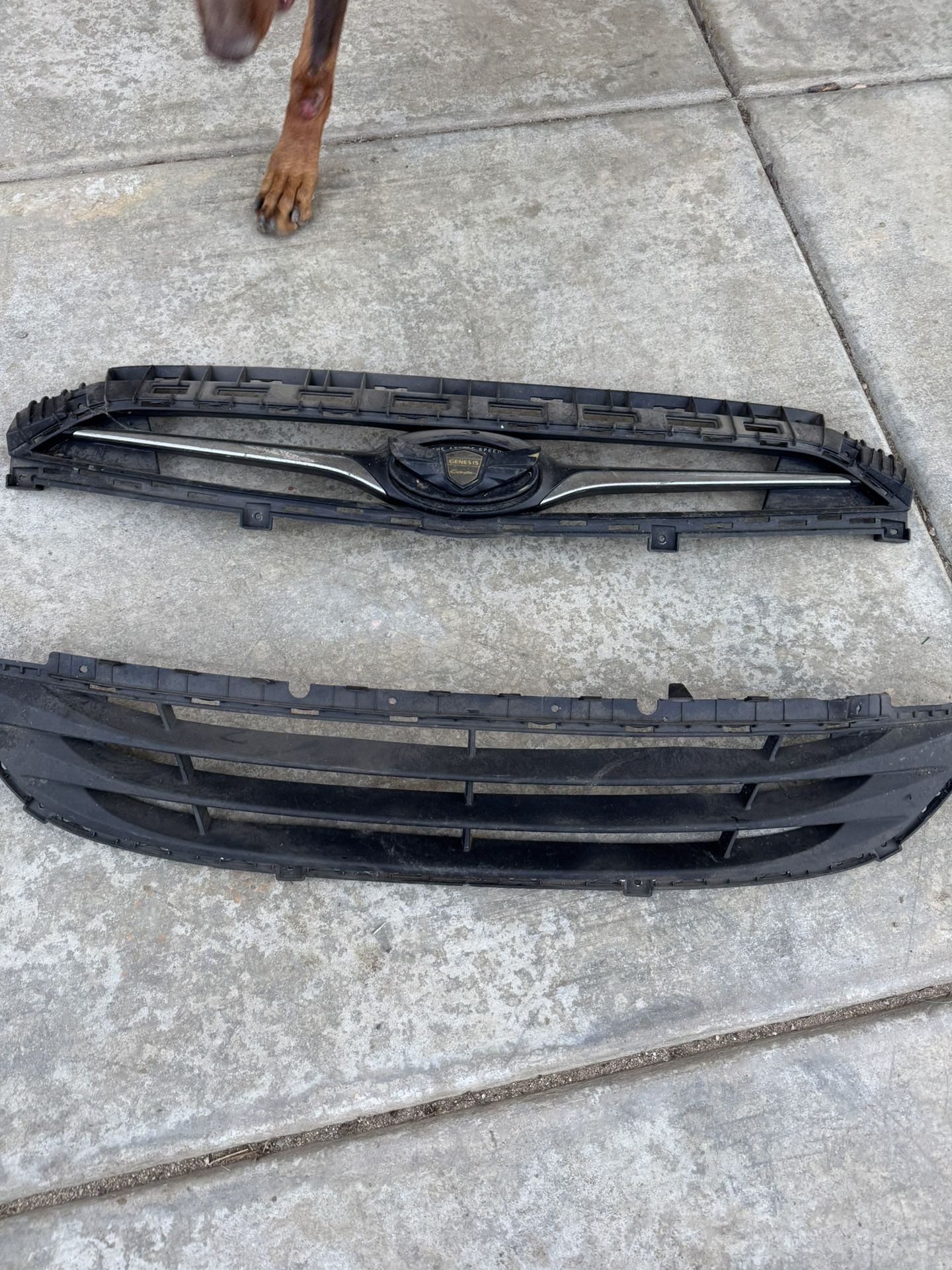 Genesis Coupe Grille