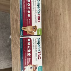 Dog Flea & Tick