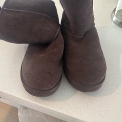 Chocolate Uggs Mens 10