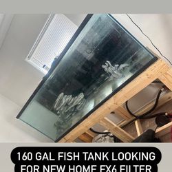160 Gallon Fish Tank 