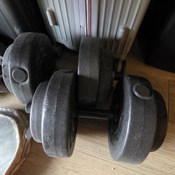 Gold's Gym Free Weights (Dumbbells) 