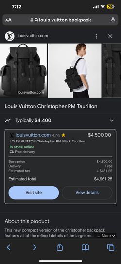Louie Vuitton Backpack