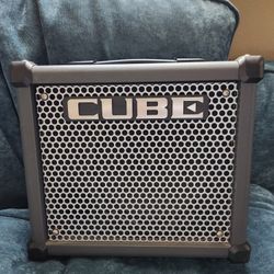 Roland Cube 1x8"