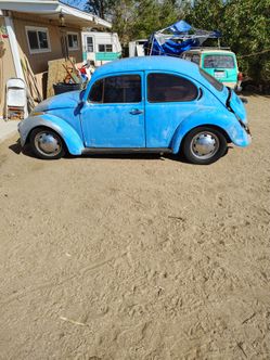 1970 vw beetle