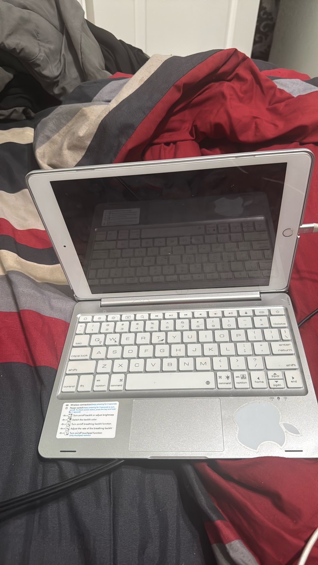 iPad 