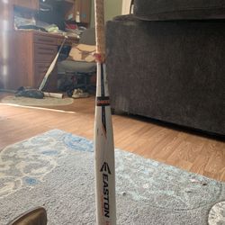 Easton Softball Bat