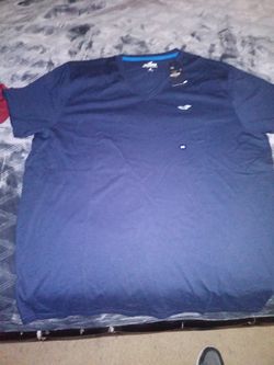 XXl Hollister brand new t shirt 20 each