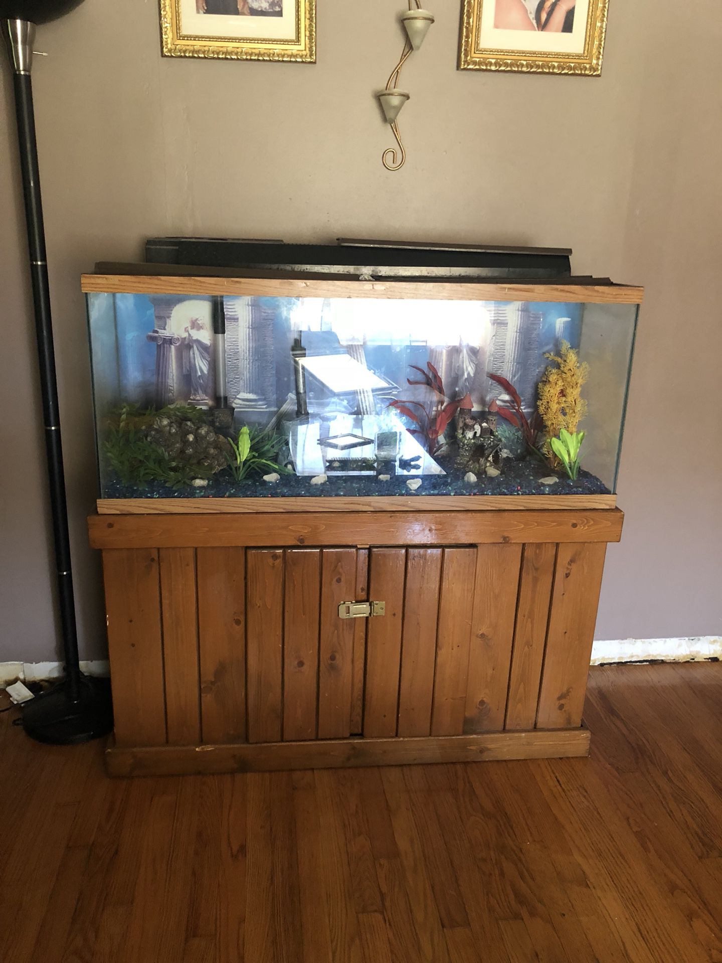 Fish tank 57 gallons with decorations included
