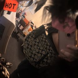 Coach Hand Bag Original 