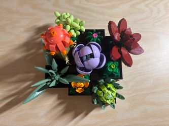 LEGO Botanicals: Succulents (10309) - Complete set; no paper instructions