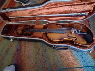 Violo
