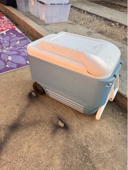 Large rolling Igloo cooler