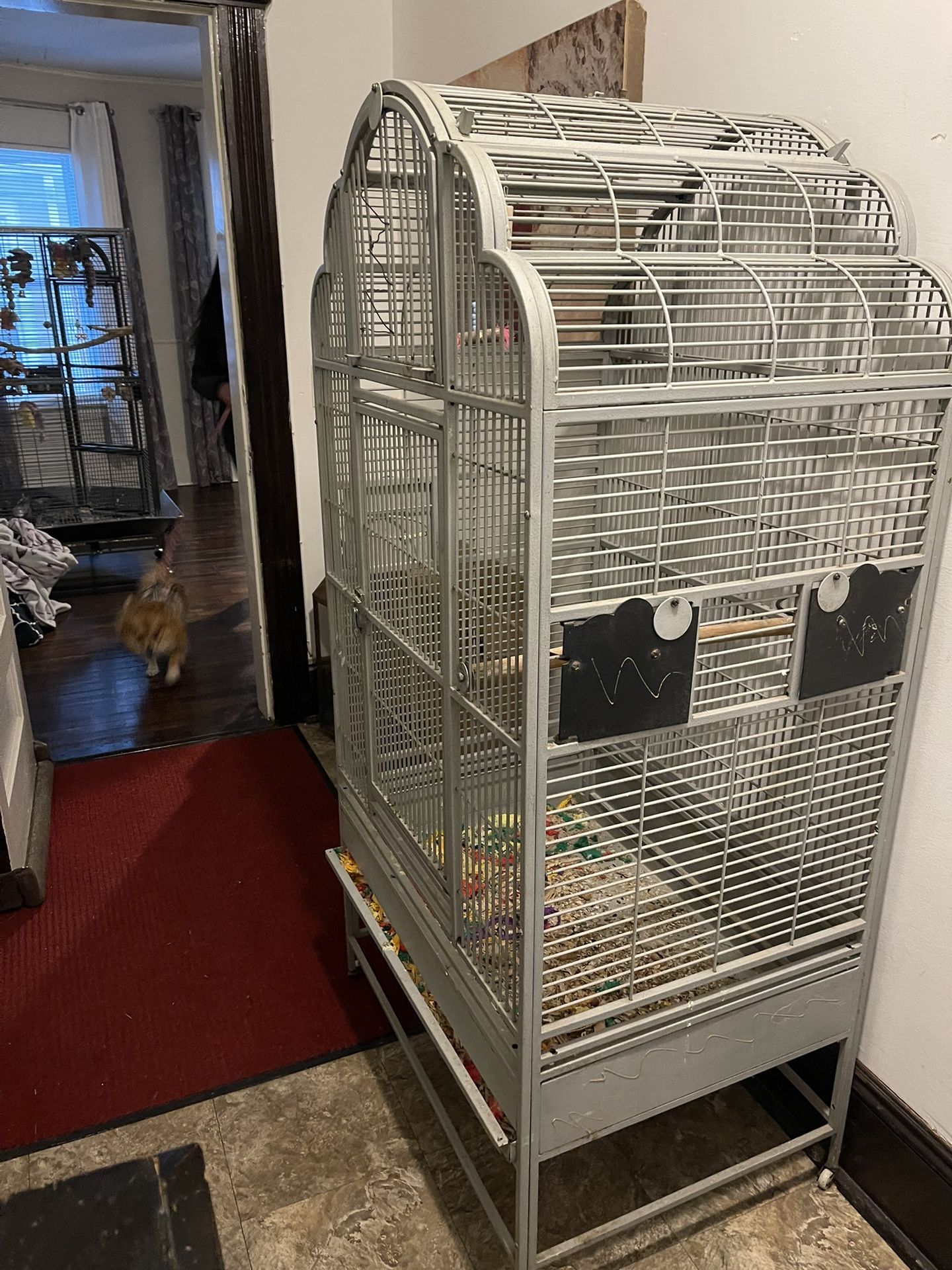 Free Bird Cage
