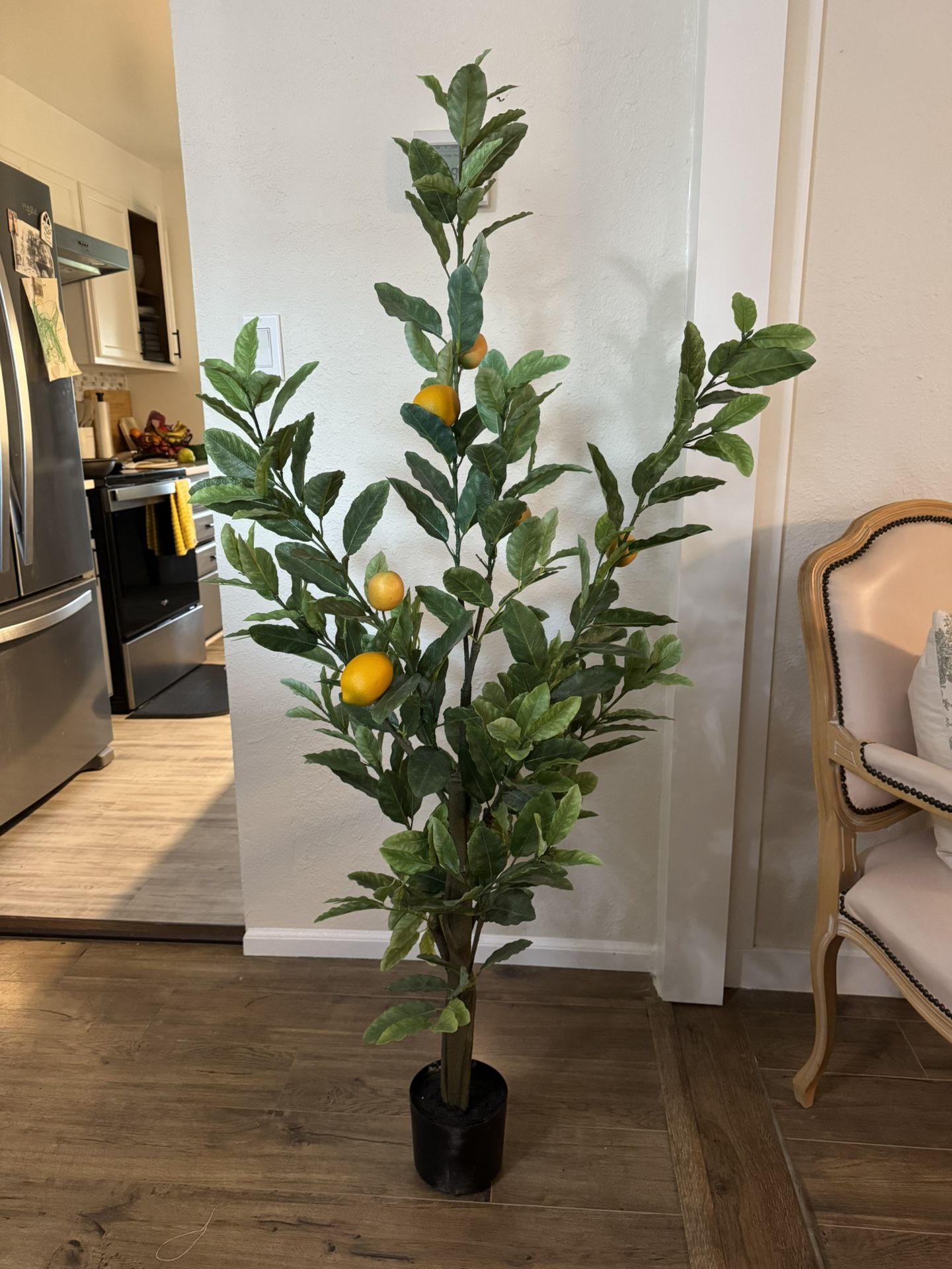 Decor Lemon Tree