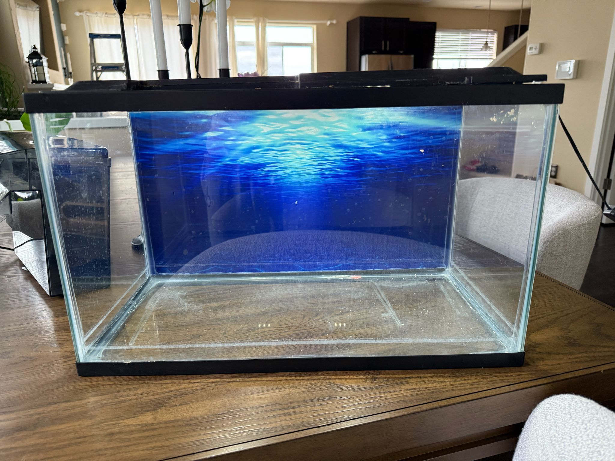 Aquarium 10 Gallon And 40 Gallon.