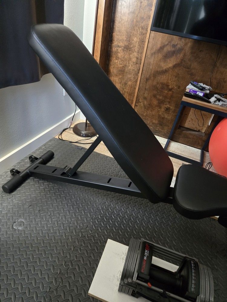 Inspire Weight Bench