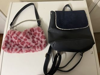 2 Bags Each 4$ Both 6$ In Excellent Condition 