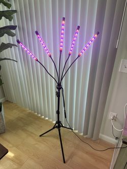 5-Head LED Grow Light with Tripod & Timer