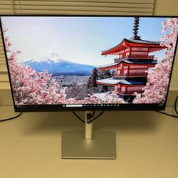Dell 24” Monitor P2422H