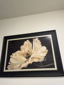 Beautiful Flower Picture 