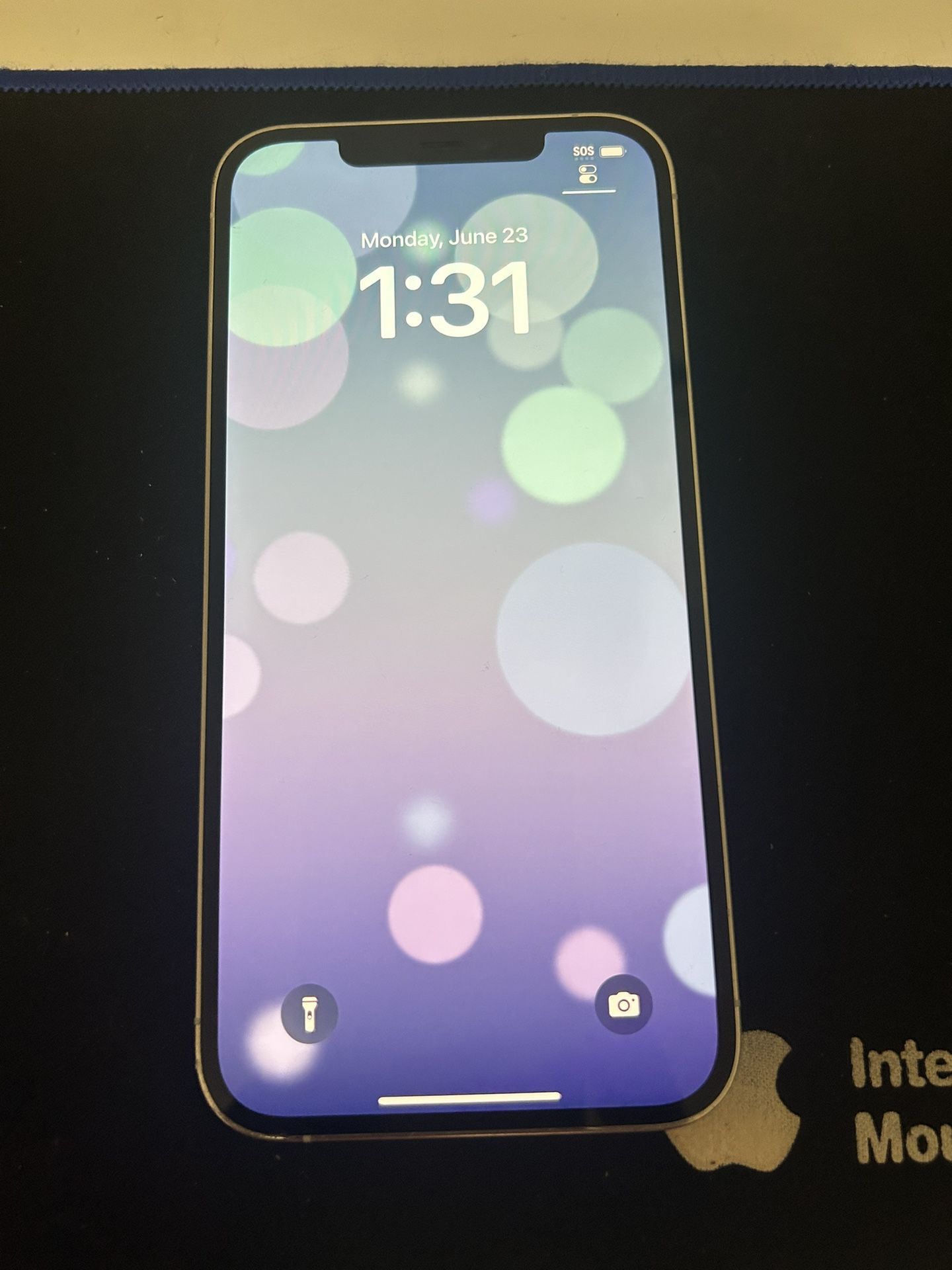 iPhone 12 Pro Max