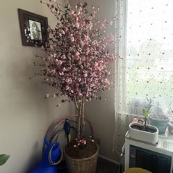 Flowering Tree